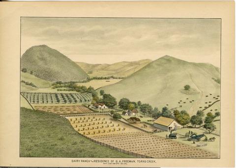 Freeman, G. A., Dairy Ranch and Residence, Torro [sp] Creek, San Luis Obispo County