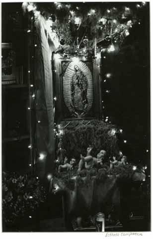[An altar for the Virgin of Guadalupe]