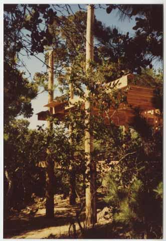 [Telephone Pole House] exterior view through foliage, Mills, Mark and Barbara, Lot 2, residential, C