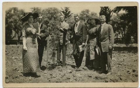 [Members of the Senior Class of 1909 after planting the Class Tree]