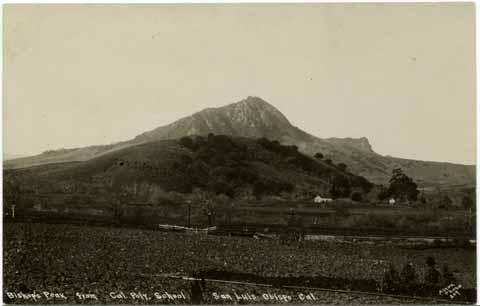 Bishop's Peak from Cal Poly .School San Luis Obispo, Cal