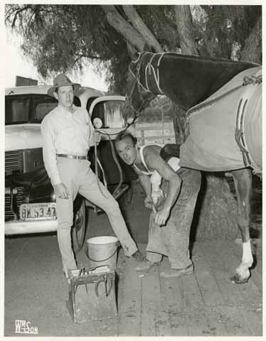 Student Danny Cohen horseshoeing the champion horse Merry Jane