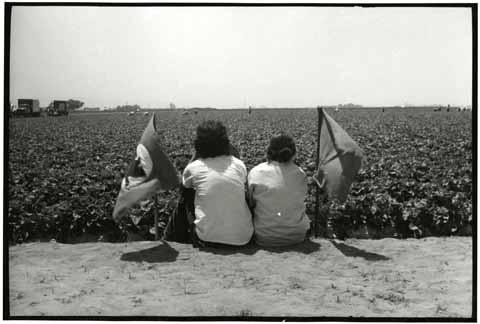 [Workers with UFW flags sitting in a field]