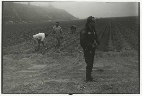 Police officer and lettuce farmers