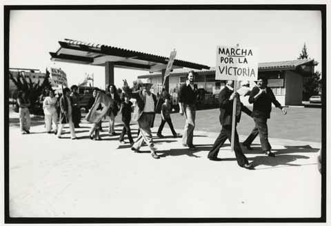 Activists marching in Santa Maria
